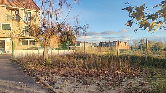 El PP denuncia «la deriva» de San Andrés ante la «gestión roñosa» de la UPL