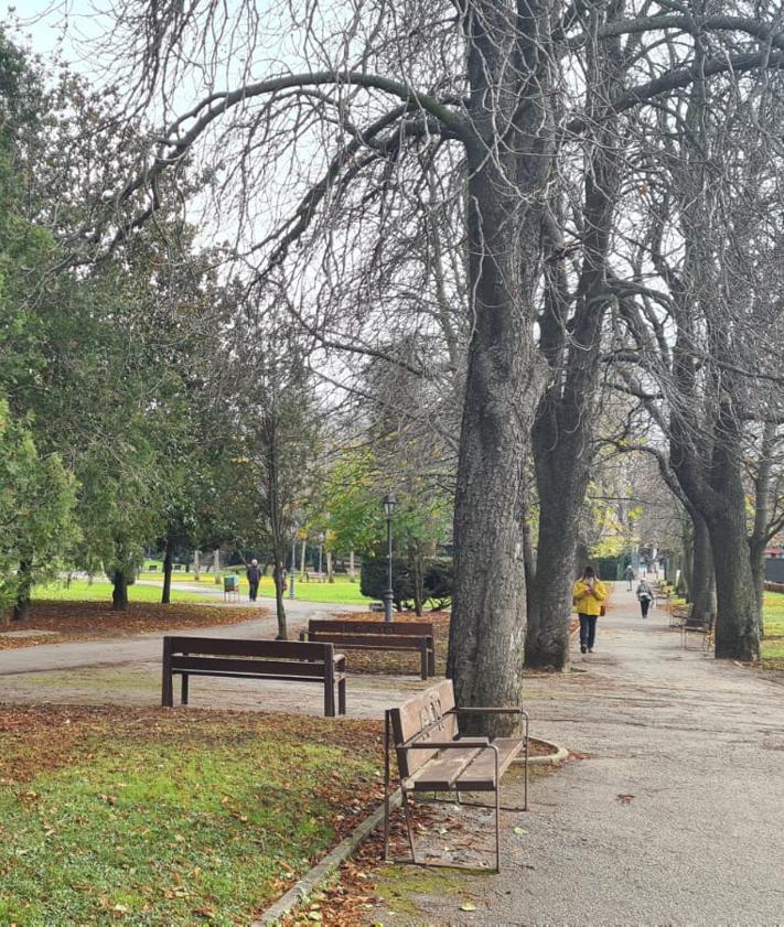 Imagen secundaria 2 - El parque de Quevedo de León pierde su arbolado más deteriorado