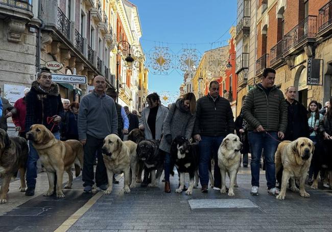 Participantes a su paso por la calle Ancha.