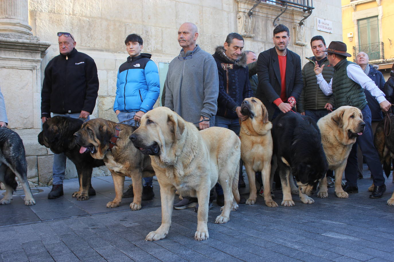 Dueños de los ejemplares premiados en el ceramen de mastín leonés.