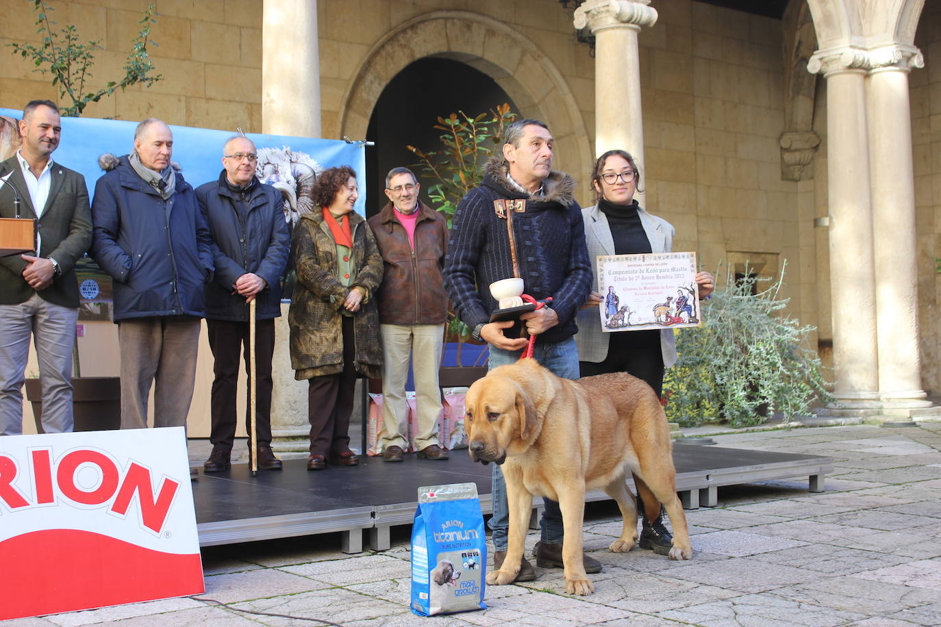 Representante de uno de los mastines premiados en el certamen.