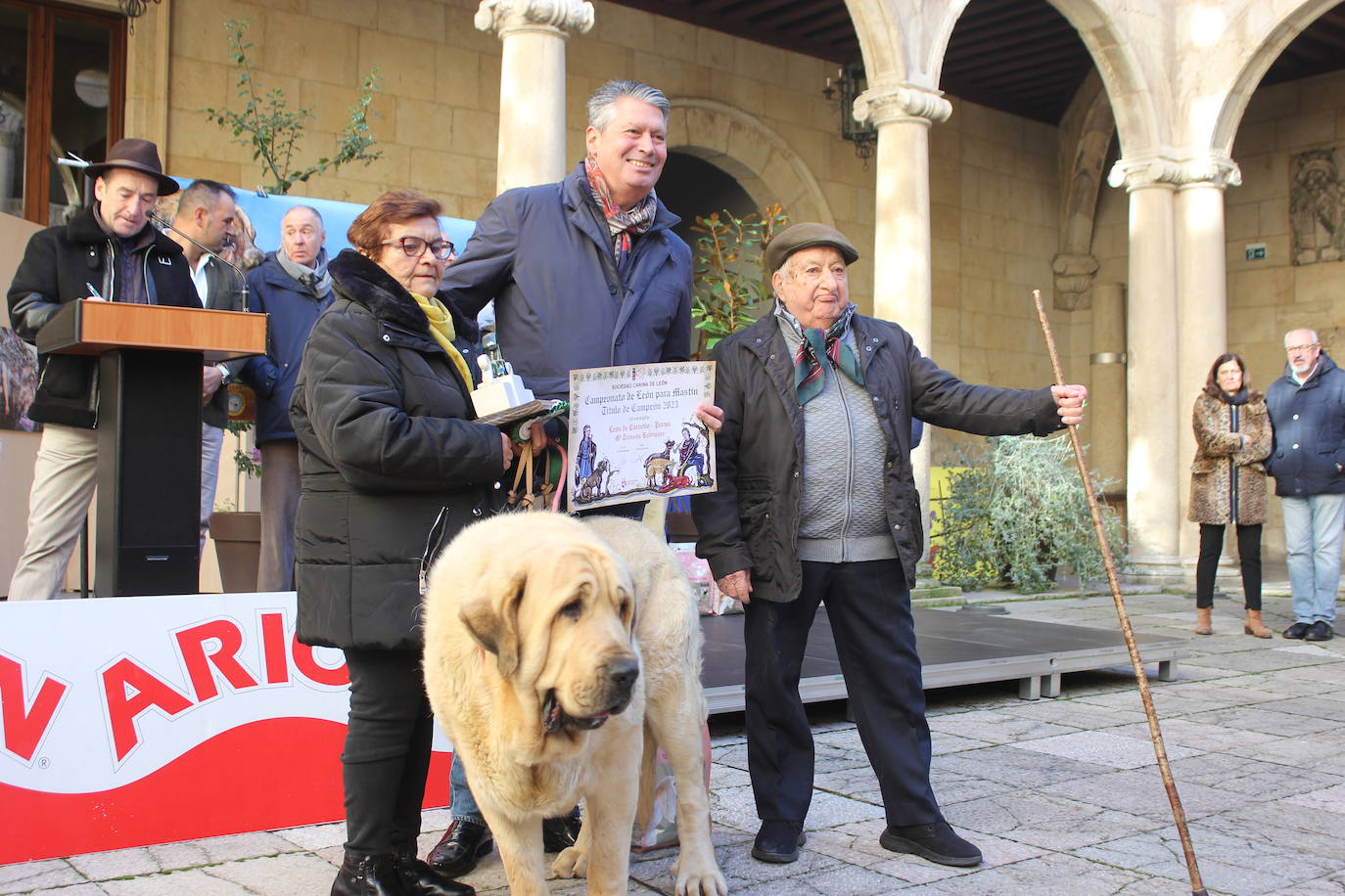 Representantes de uno de los mastines leoneses premiados.