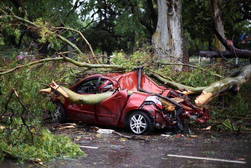 Coche aplastado por árboles afectados por el temporal en Argentina.