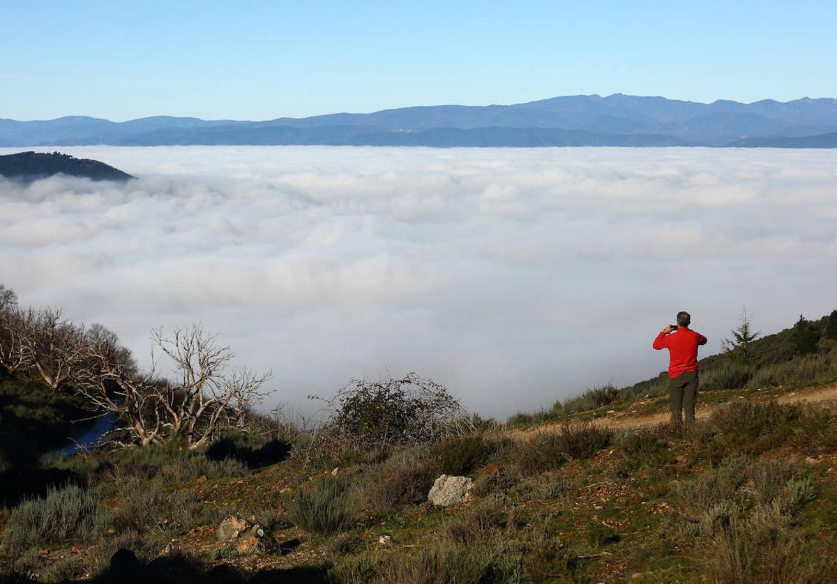 Niebla en un paraje de El Bierzo.