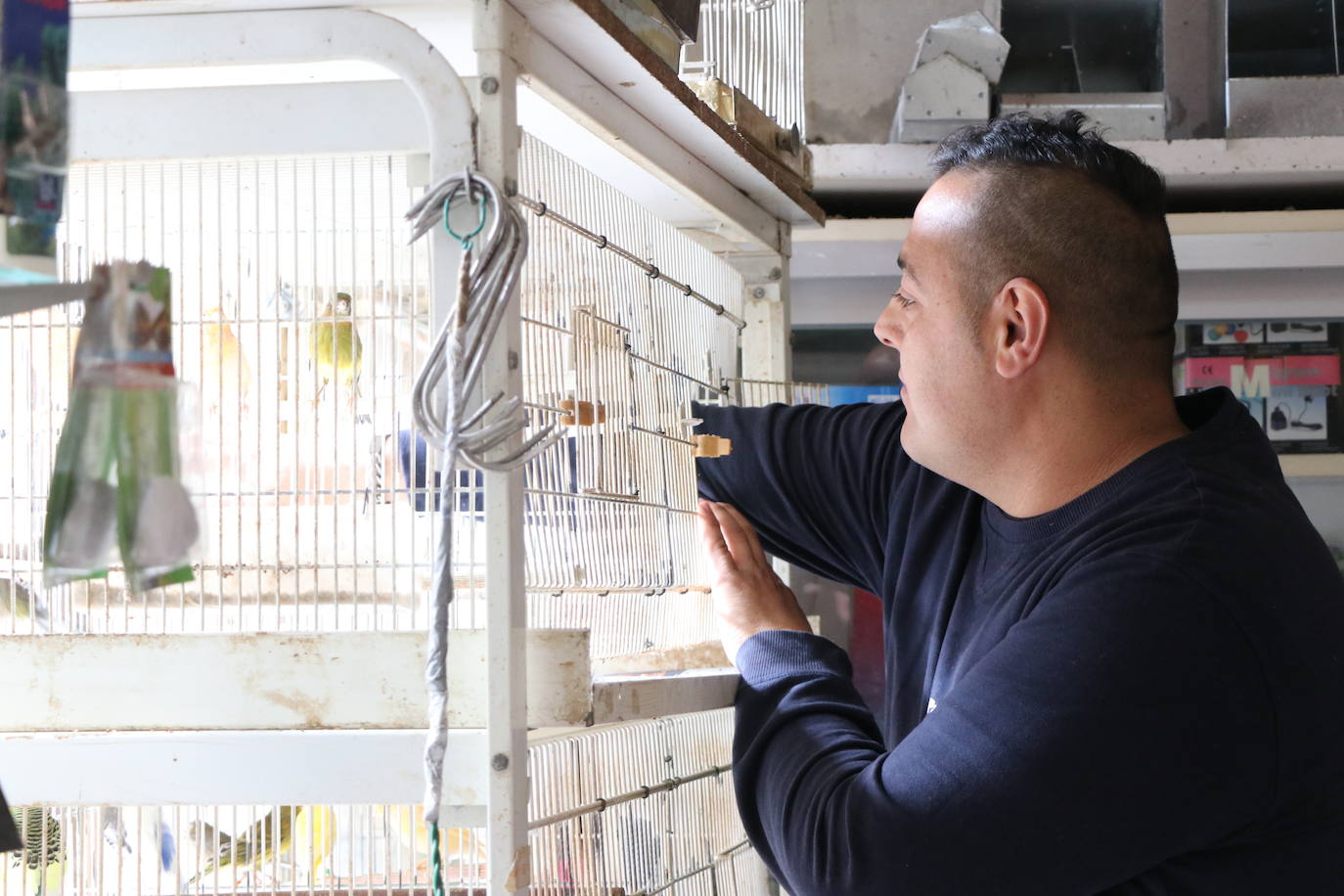 Un negocio singular: la Pajarería Rubén de Villablino