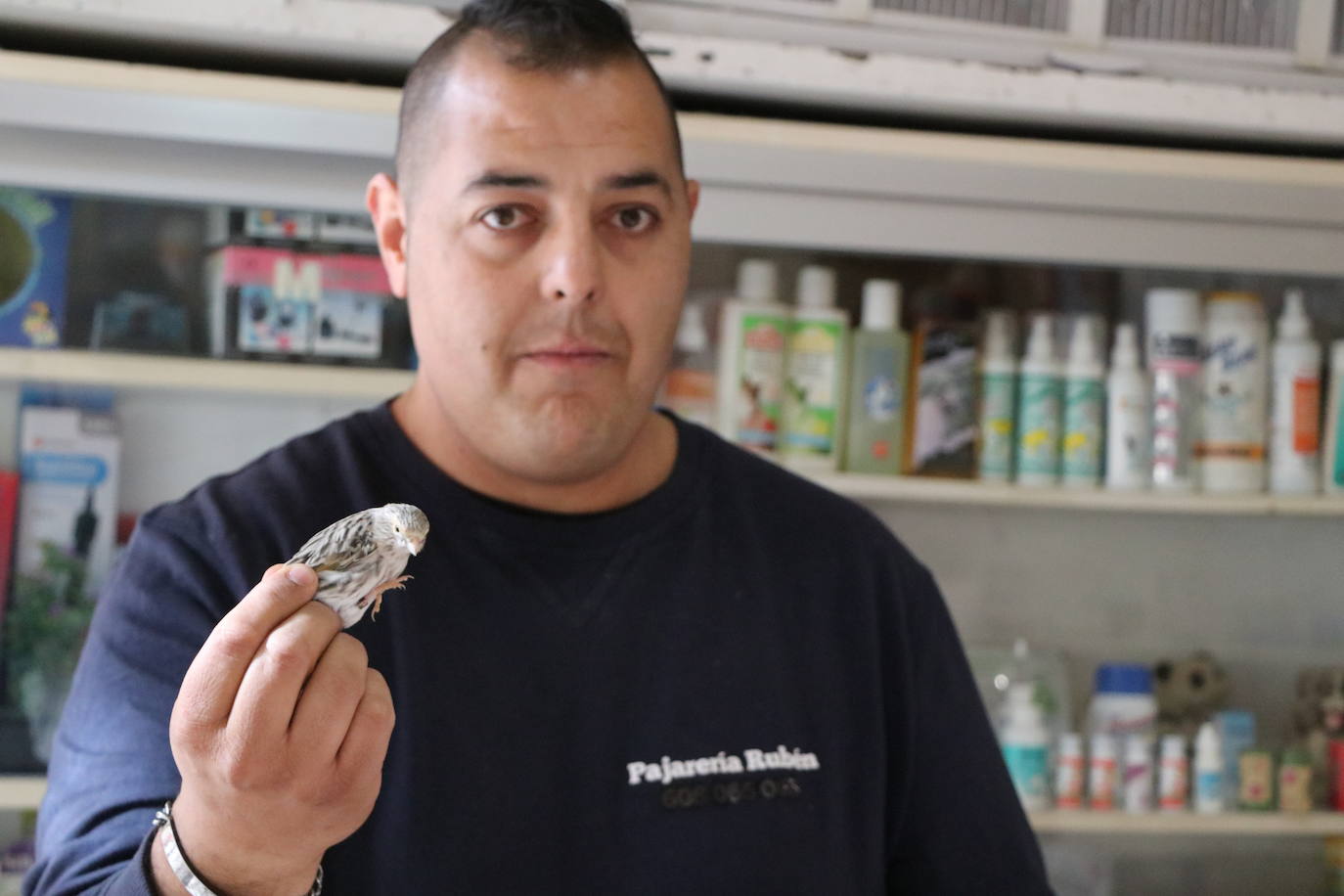 Un negocio singular: la Pajarería Rubén de Villablino