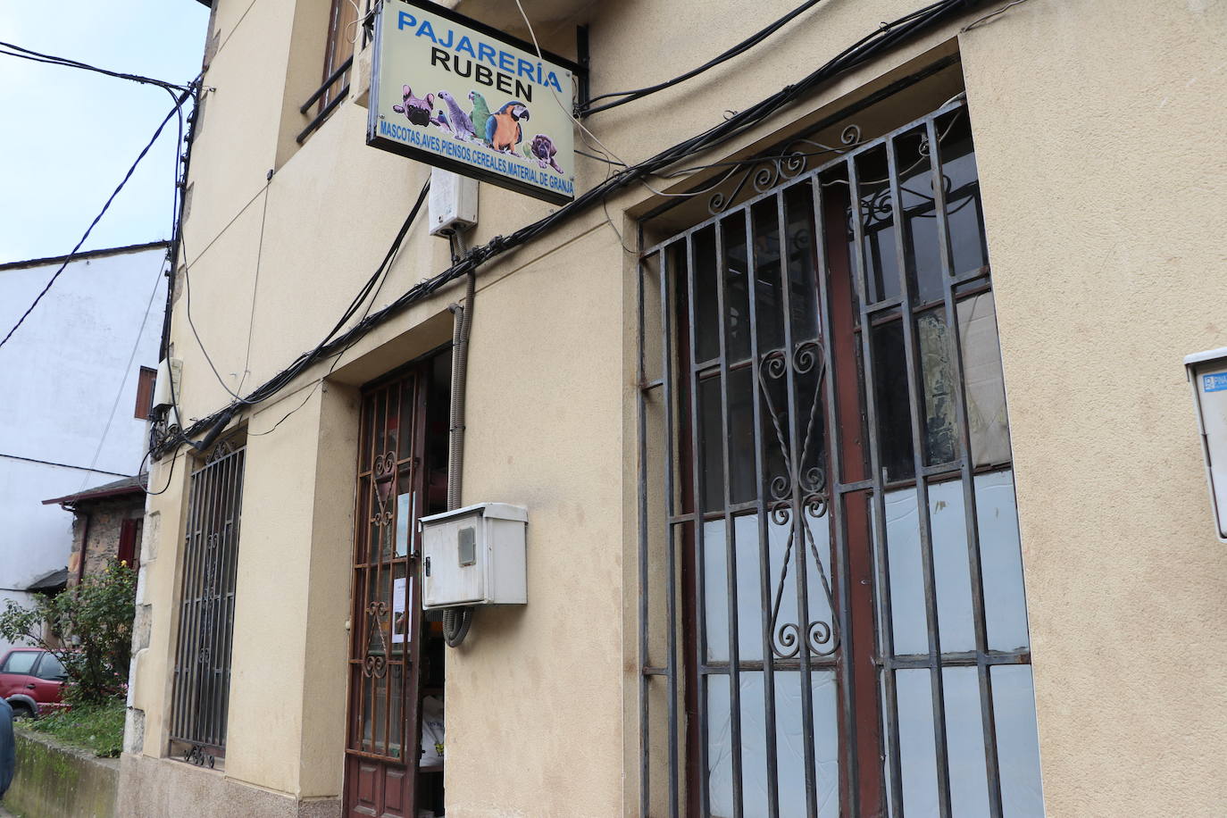 Un negocio singular: la Pajarería Rubén de Villablino