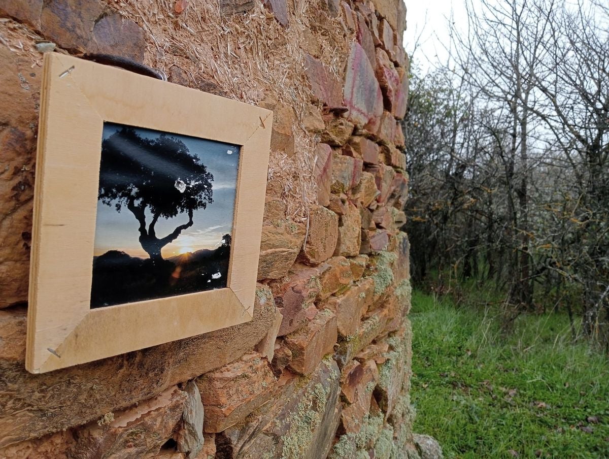 La exposición «Naturaleza» llega a Tejadinos
