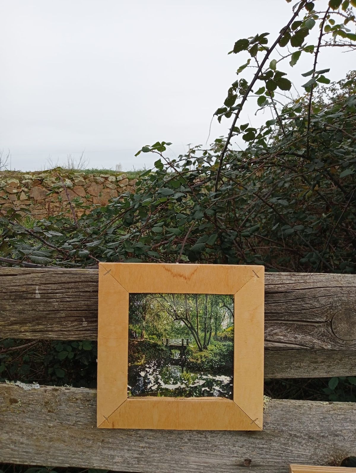 La exposición «Naturaleza» llega a Tejadinos