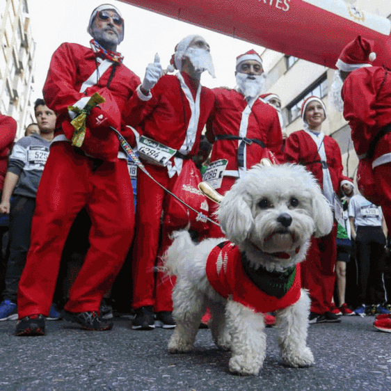 San Silvestre y magia este fin de semana en León