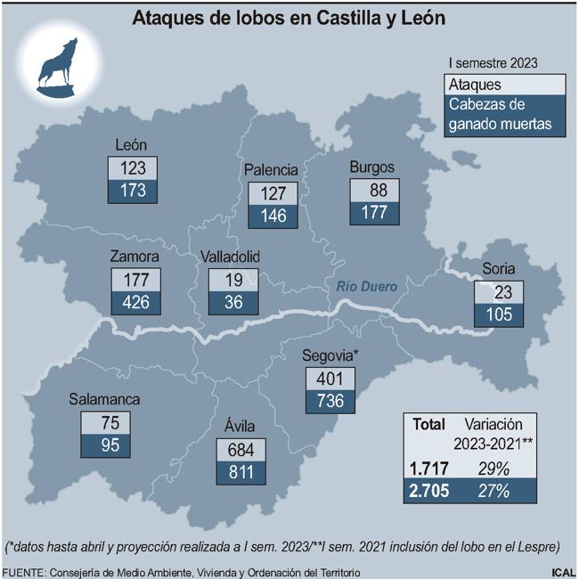 Ataques de lobos en Castilla y León.