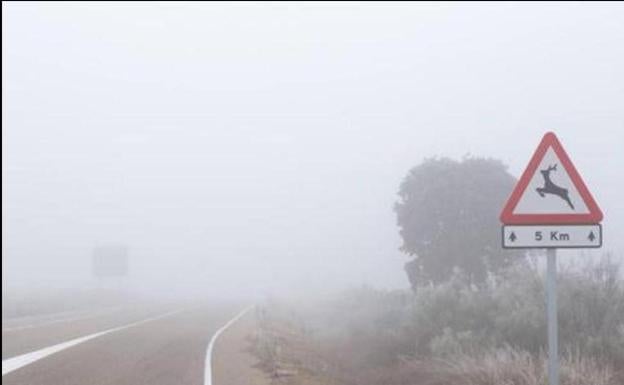 La niebla afecta a varios tramso de carreteras de León.