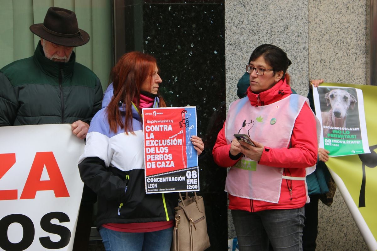 Pacma León se ha concentrado este domingo frente a las puertas del Ayuntamiento de León para exigir al Gobierno un cambio en la ley de protección animal.