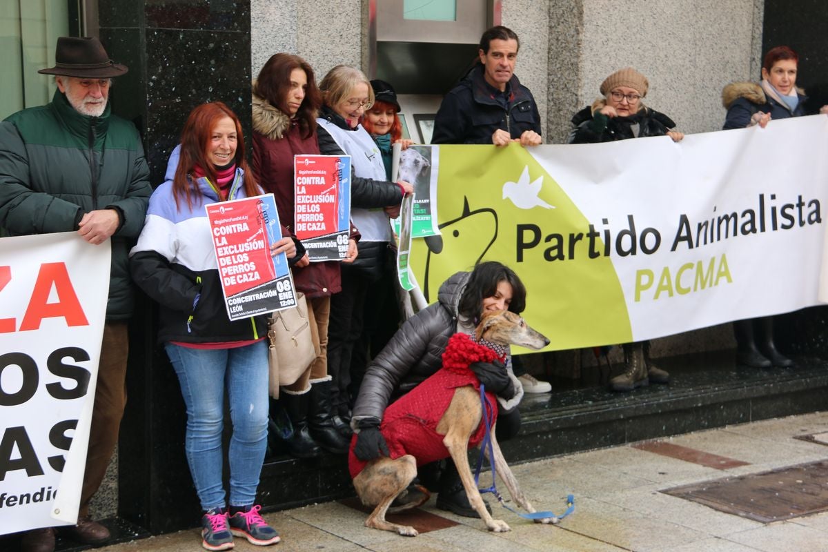 Pacma León se ha concentrado este domingo frente a las puertas del Ayuntamiento de León para exigir al Gobierno un cambio en la ley de protección animal.