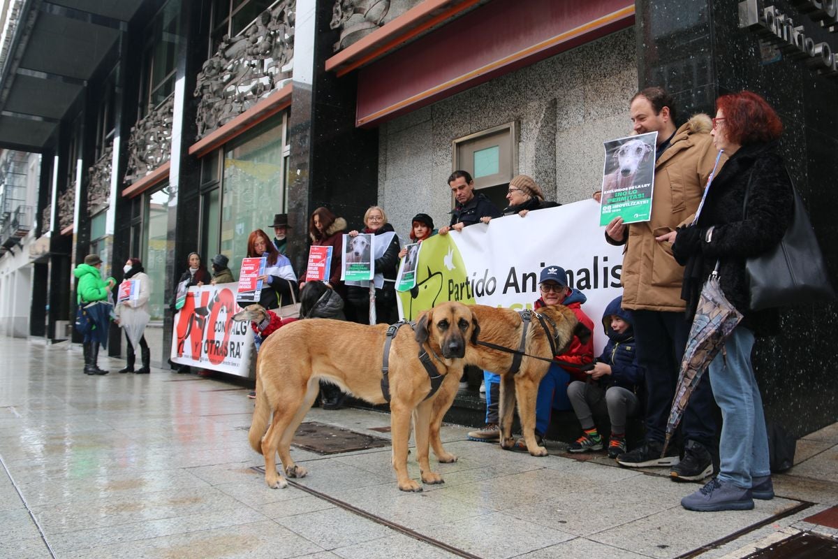 Pacma León se ha concentrado este domingo frente a las puertas del Ayuntamiento de León para exigir al Gobierno un cambio en la ley de protección animal.