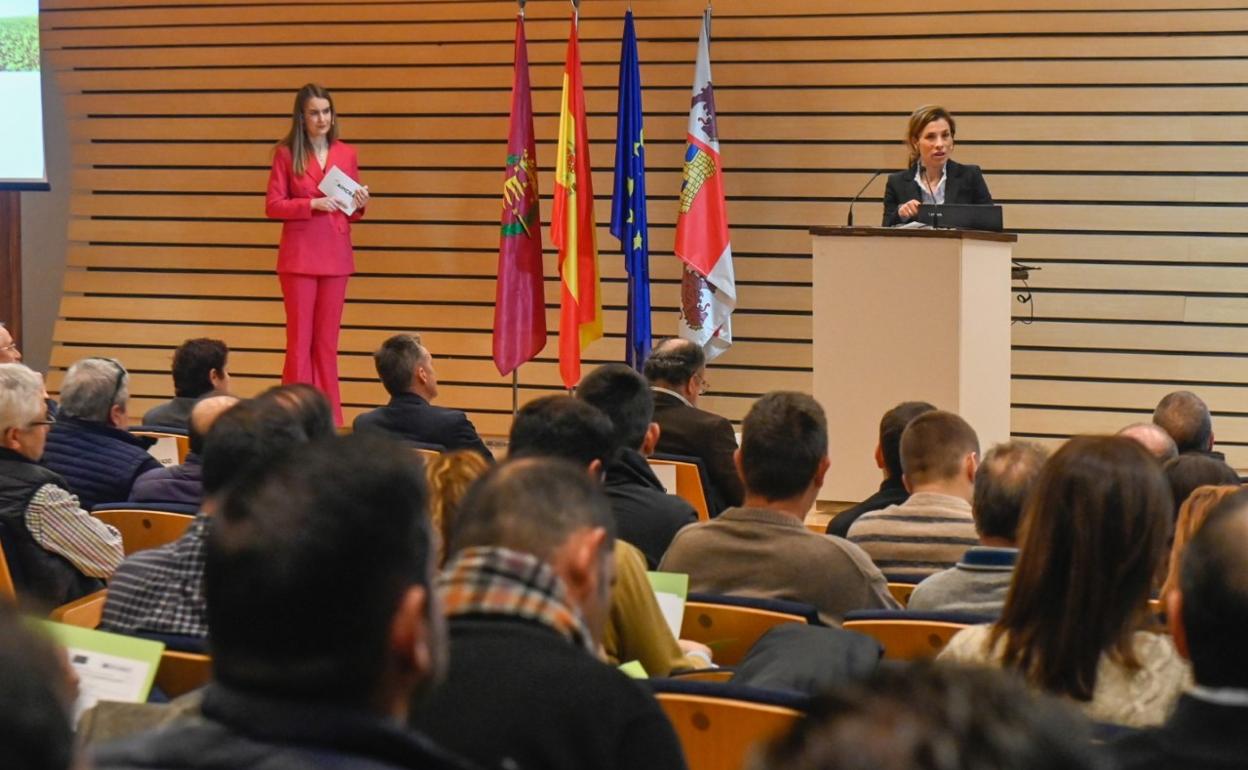 Elba Rosique durante su intervención en la jornada formativa celebrada ayer en Valladolid. 