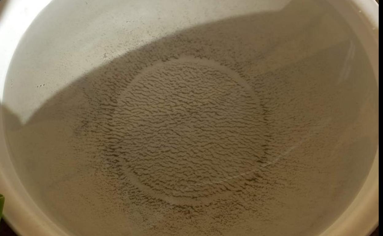 Agua del grifo con restos del campo de tiro tras uan hora en reposo.