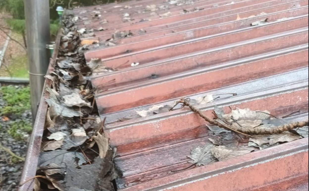 Canalones llenos de hojas en el colegio Peñalba.