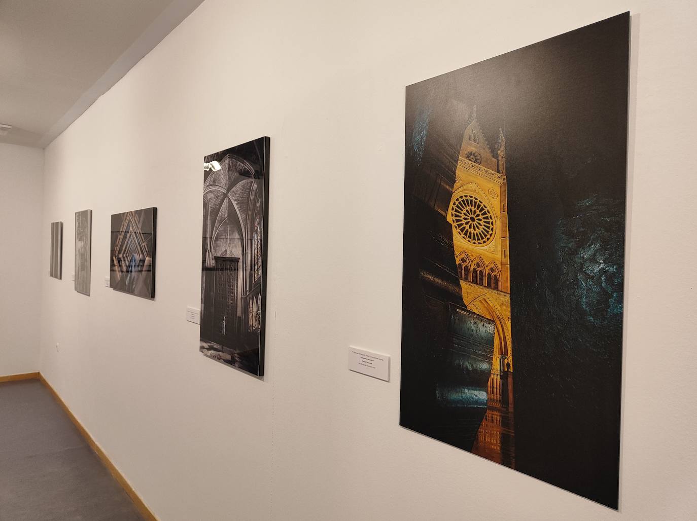 Fotos: Exposiciones en el Campus