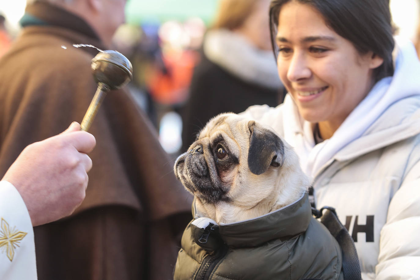 Bendición de las mascotas leonesas por San Antón