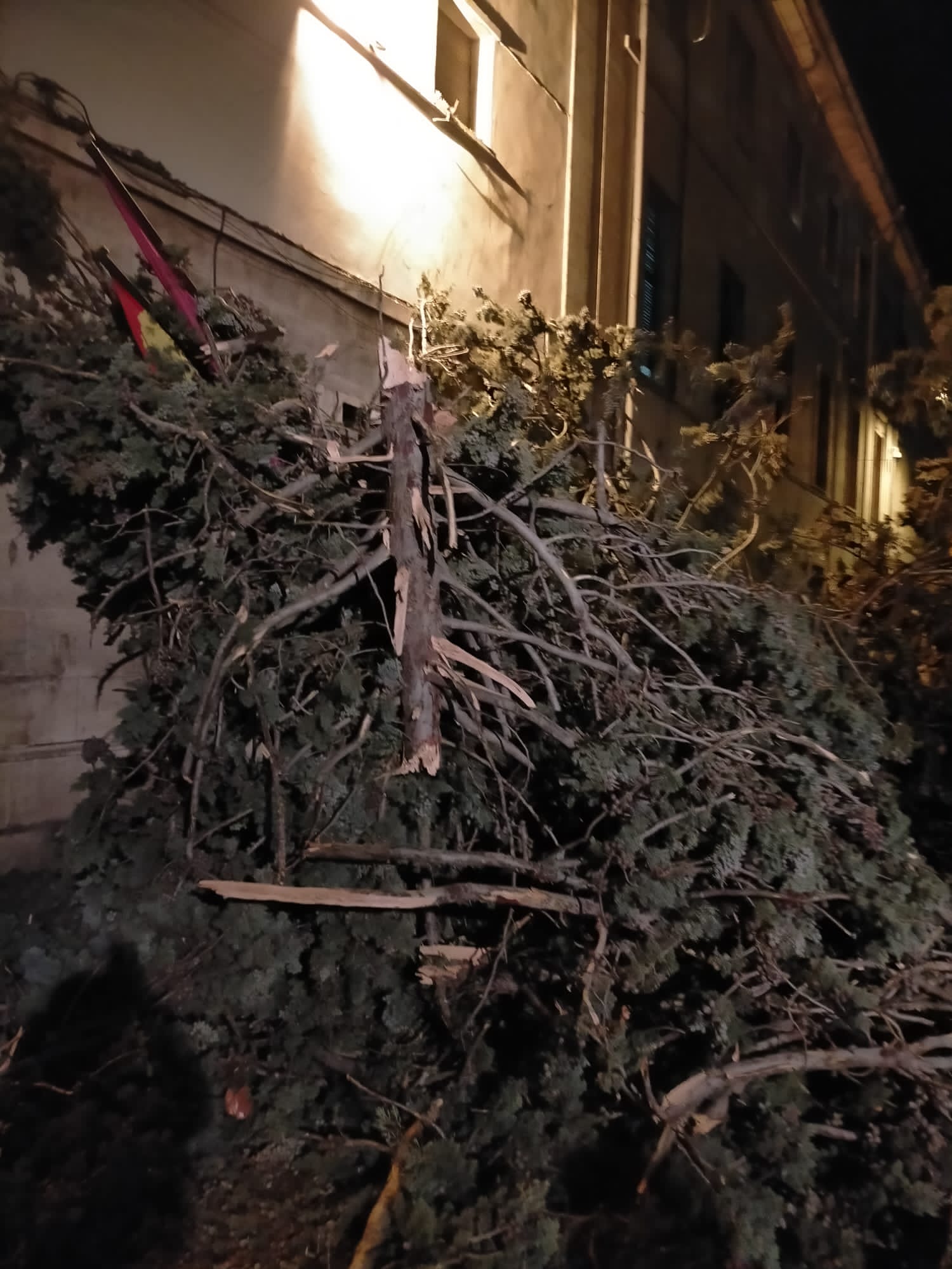 Fotos: Fuertes rachas de viento en León