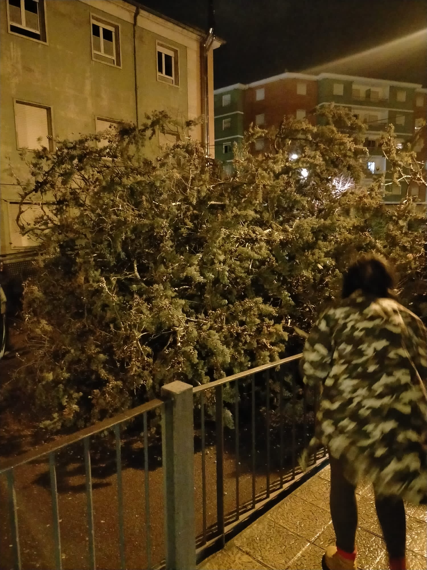 Fotos: Fuertes rachas de viento en León