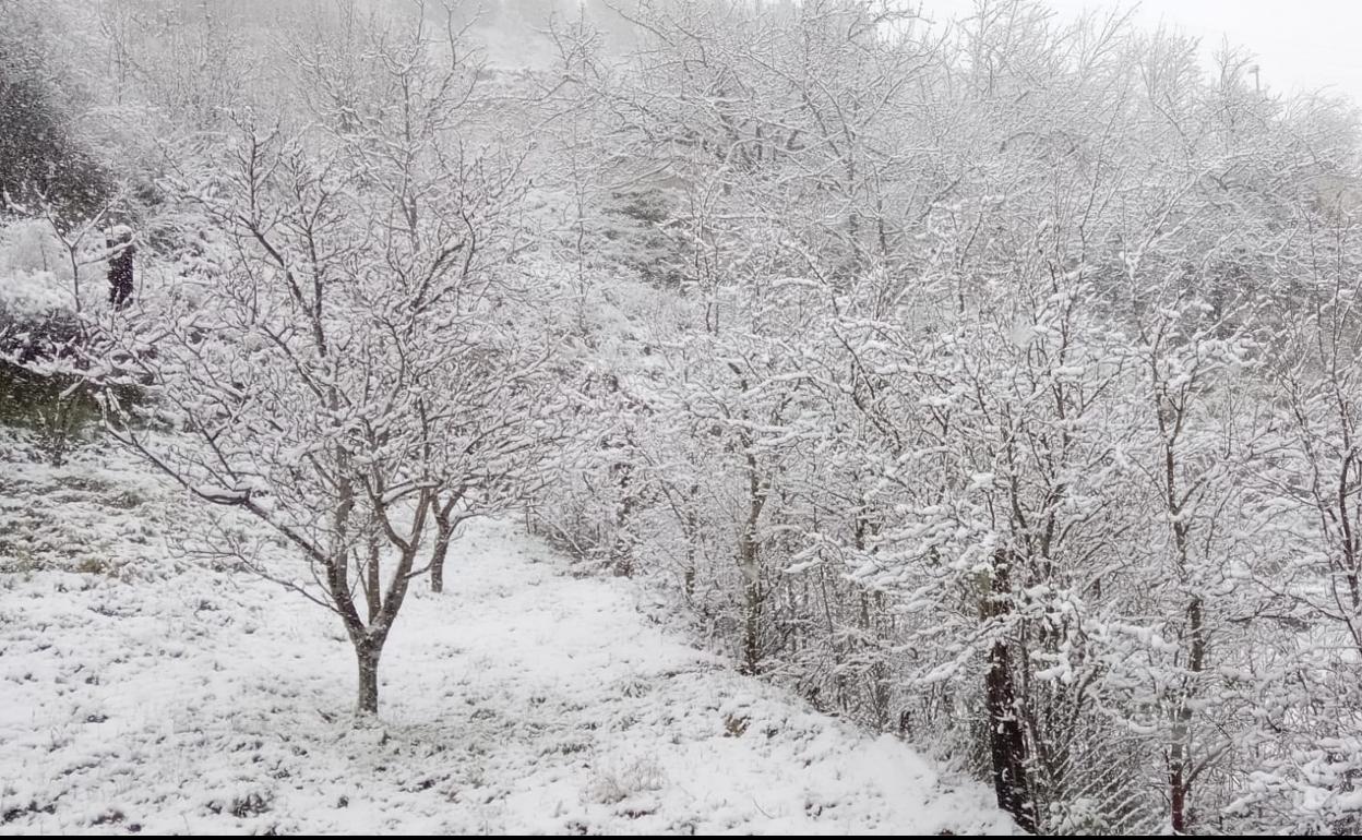 La nieve ya ha hecho acto de presencia en diferentes puntos de la provincia de León.