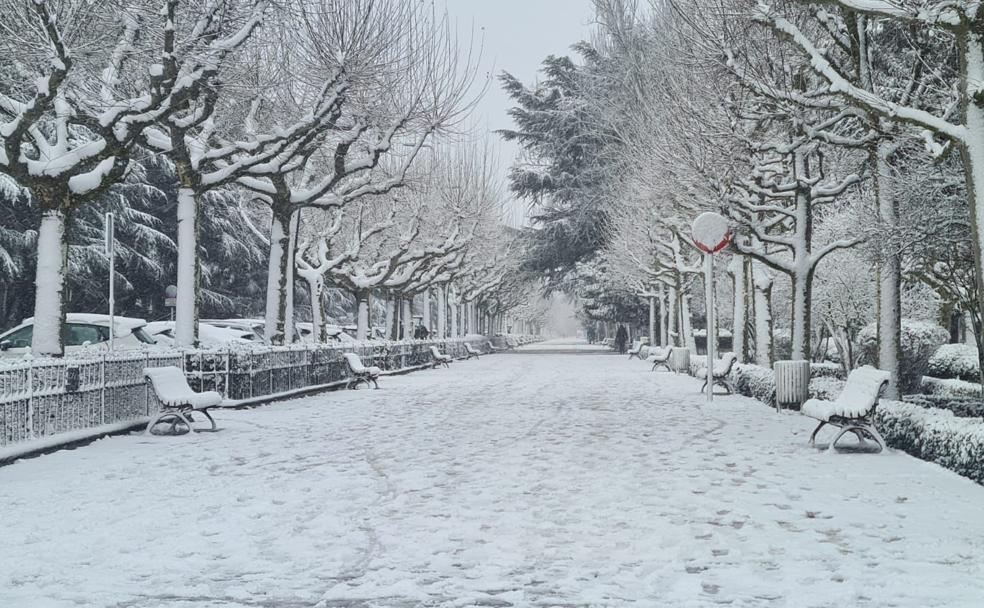 La capital leonesa ha amenecido cubierta de nieve dificultando el transito a coches y peatones. 