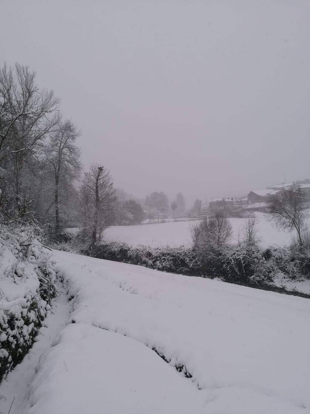 Estampas de nieve en zonas como Cubillas, Lugueros, Villamanín, Villablino, Fontún, Buiza y Villar del Puerto.