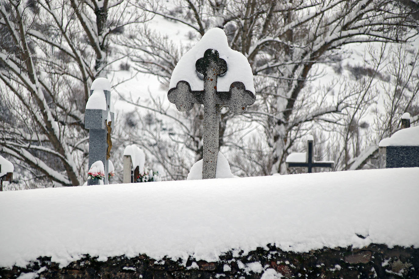 Fotos: La nieve llega a la provincia leonesa