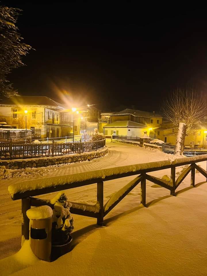 Fotos: La nieve llega a la provincia leonesa