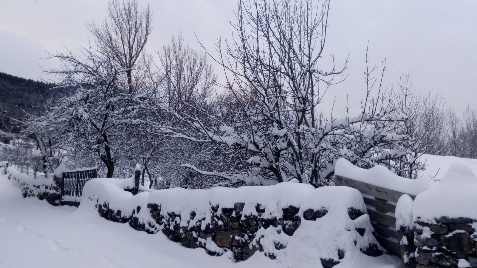 Fotos: La nieve llega a la provincia leonesa