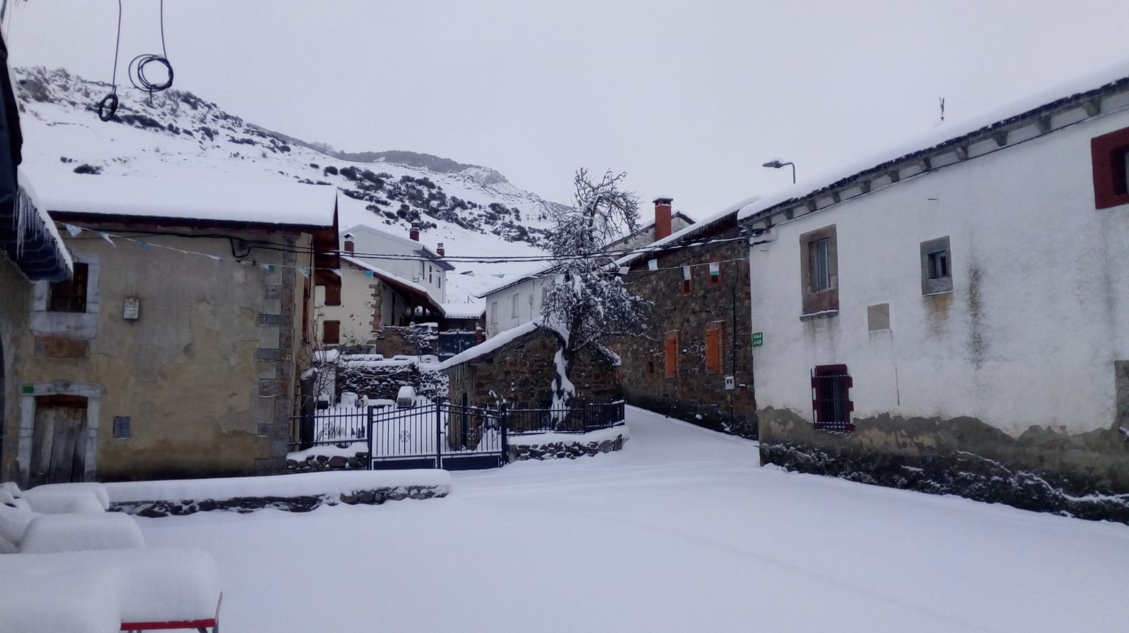 Fotos: La nieve llega a la provincia leonesa