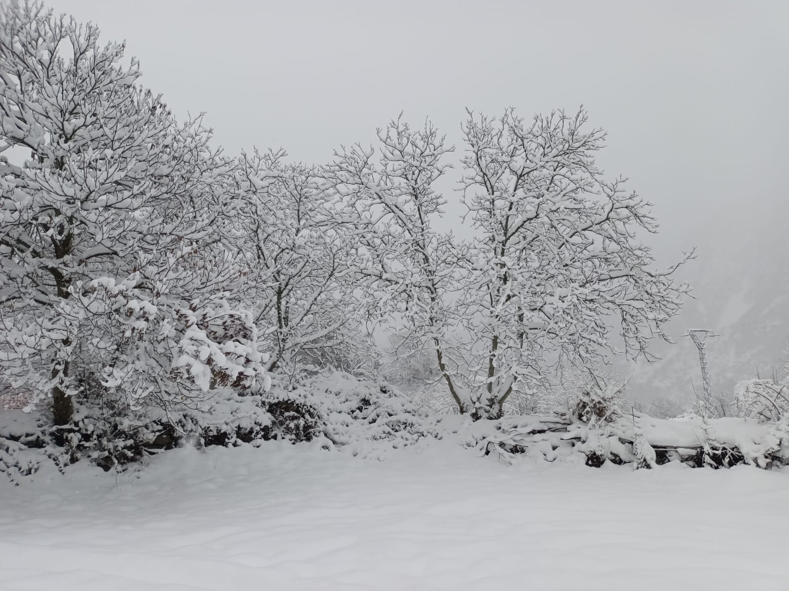 Fotos: La nieve llega a la provincia leonesa