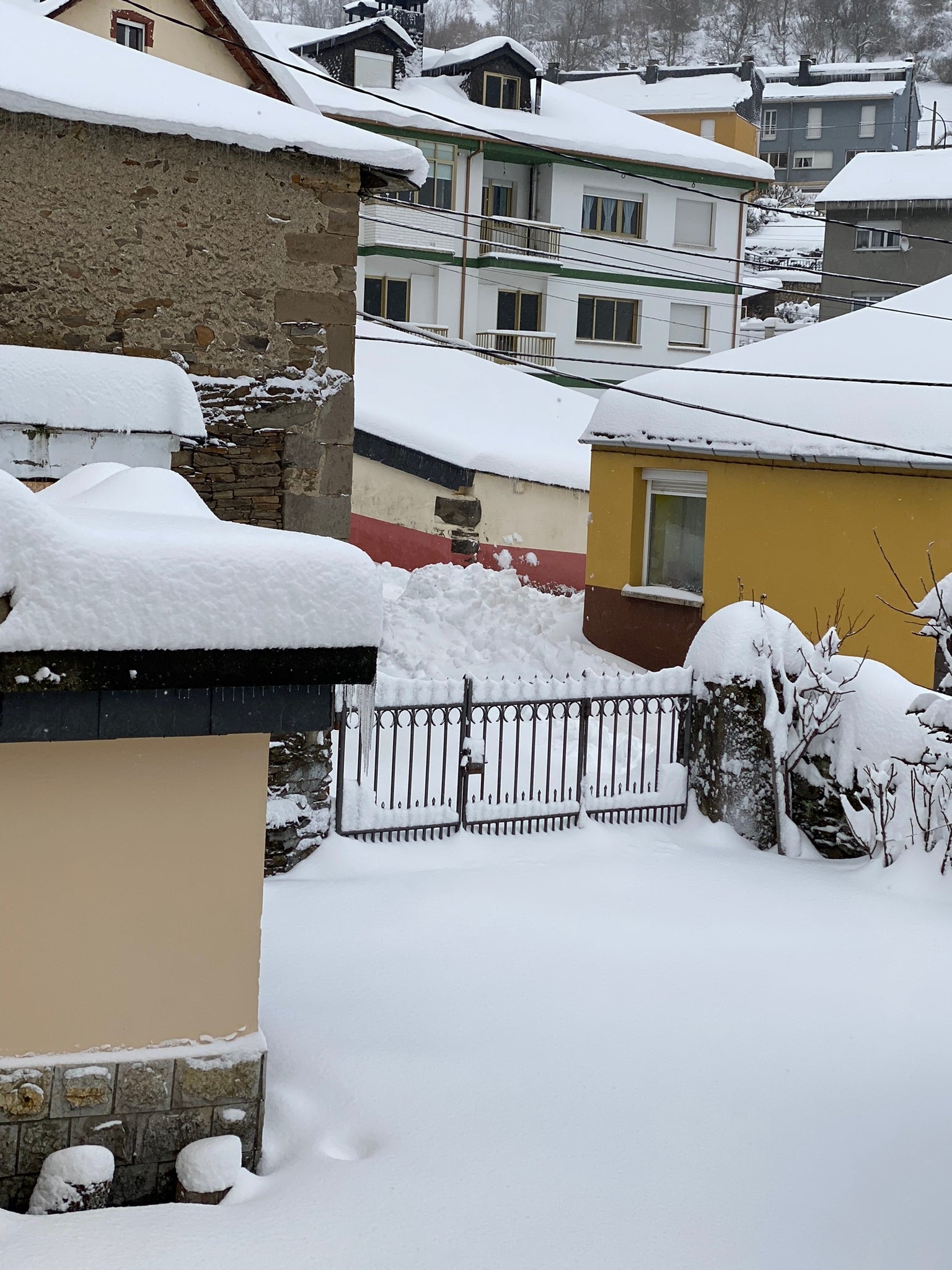 Fotos: La nieve llega a la provincia leonesa