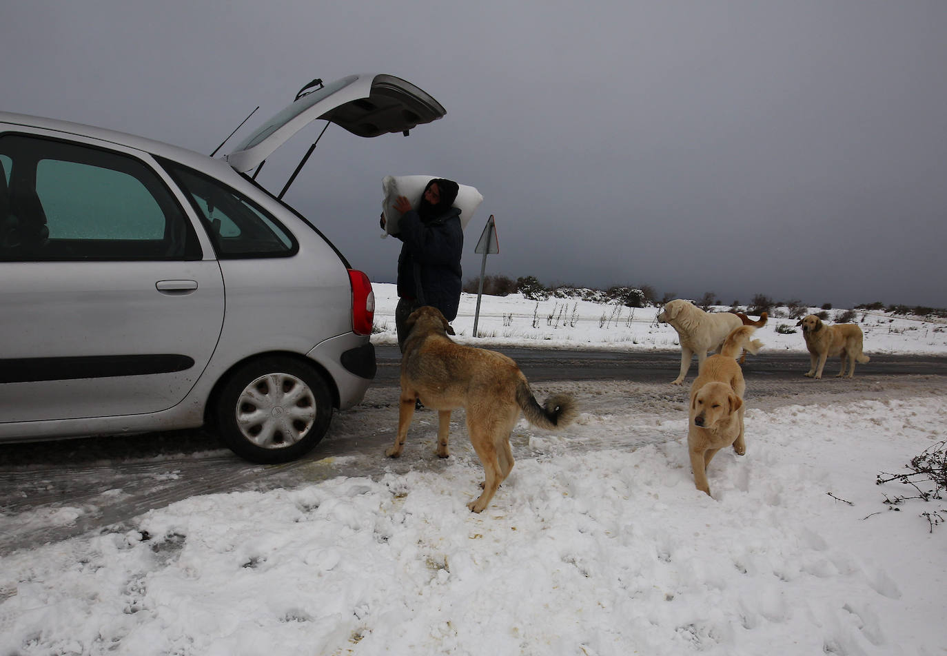 'Fien' comienza a remitir en la provincia pero la montaña se mantiene en fase de preemergencia. La nieve ha alcanzado de lleno a toda la provincia y El Bierzo no ha sido una excepción. 