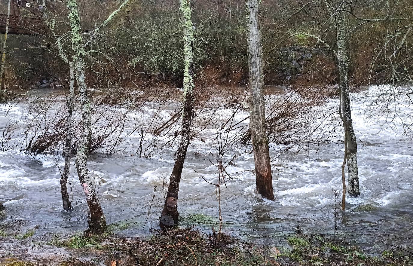  El río Sil a su paso por Ponferrada aumenta su caudal debido a las precipitaciones de los últimos días.