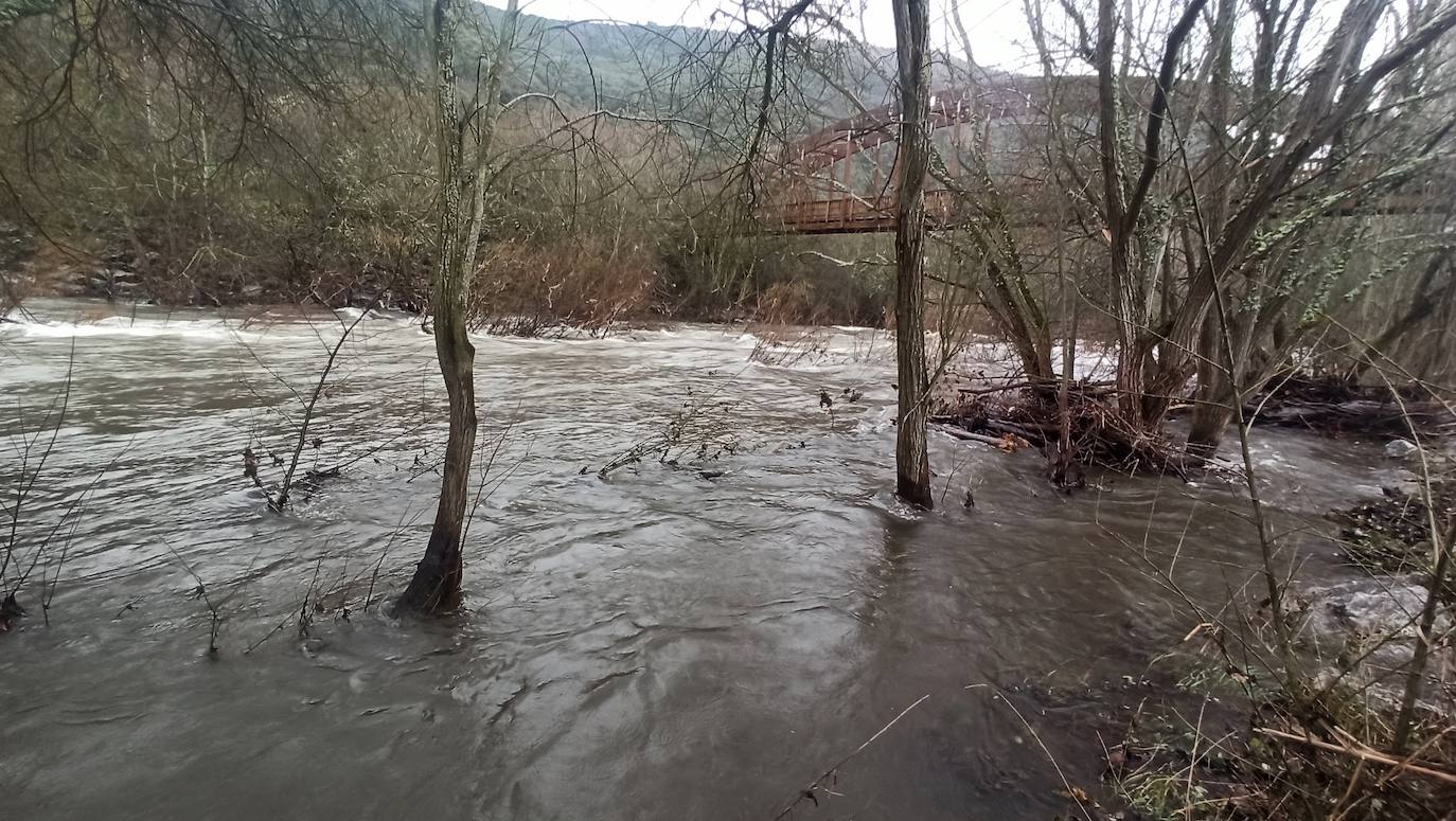  El río Sil a su paso por Ponferrada aumenta su caudal debido a las precipitaciones de los últimos días.