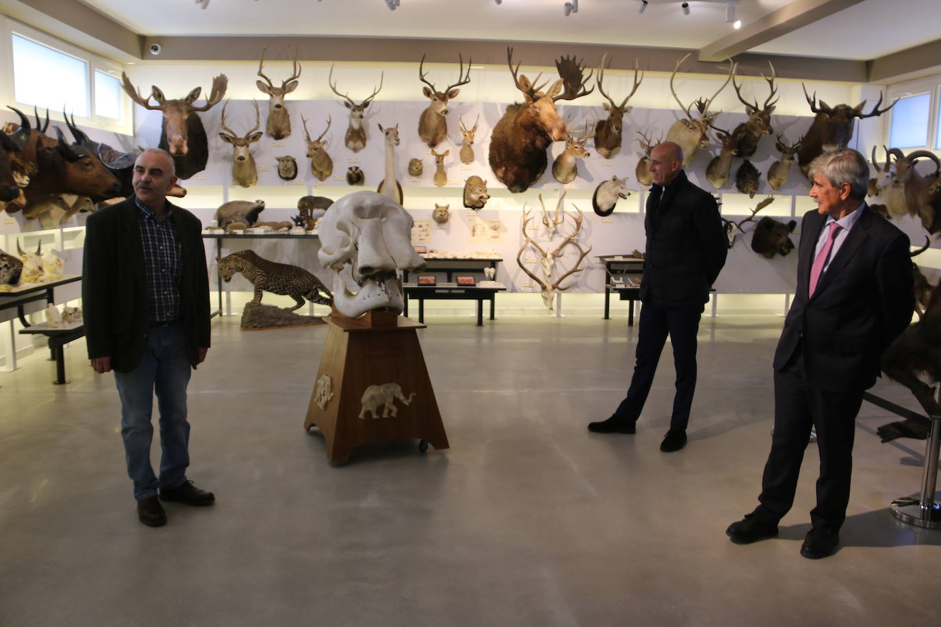 El Museo de Colecciones de la Universidad abre sus puertas a la sociedad leonesa | Ocho salas muestran parte de la colección de mamíferos, antrópodos, aves y mariposas que componen la mayor muestra de España con más de 2.500 aves de todo el mundo y 25.000 especies de mariposas | La colección biológica se amplía con una muestra patrimonial con más de mil objetos de investigación del siglo XIX.