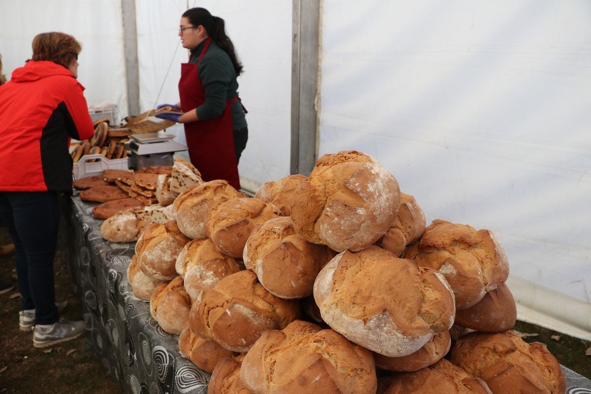 Gradefes ha celebrado este domingo su Feria de San Blas con un éxito rotundo de afluencia.