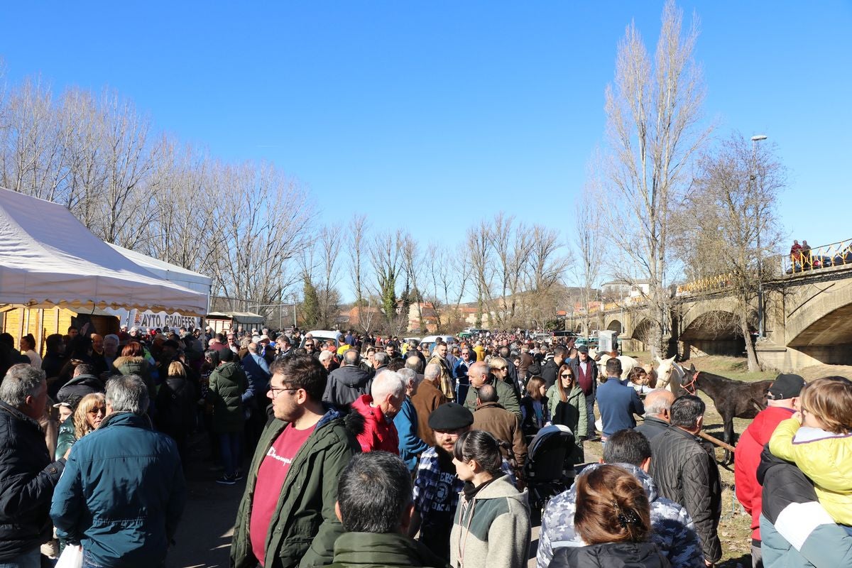 Gradefes ha celebrado este domingo su Feria de San Blas con un éxito rotundo de afluencia.