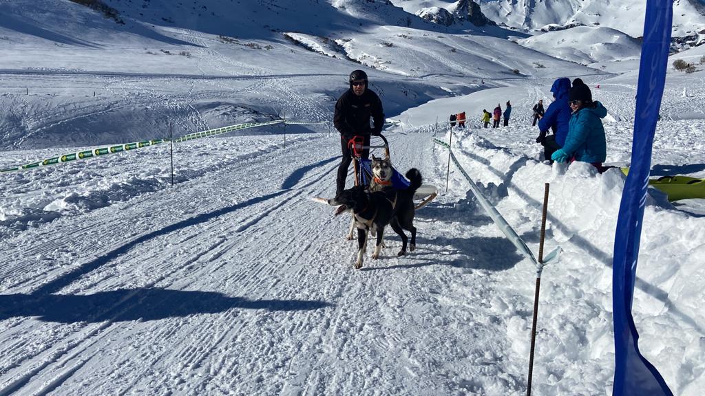 El puerto de Vegarada y Valdelugueros han vuelto a convertirse durante este fin de semana en la capital del Mushing.