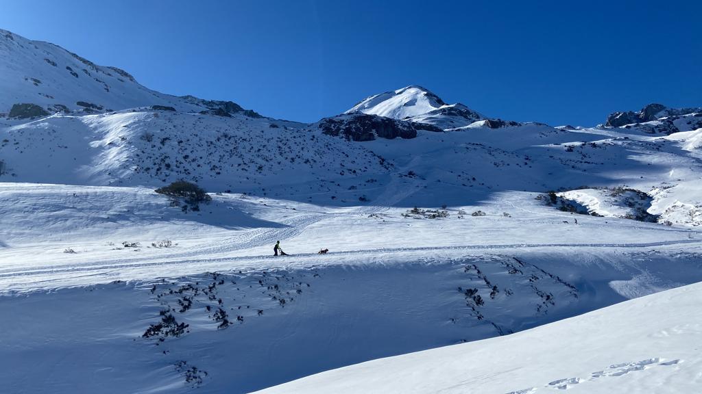 El puerto de Vegarada y Valdelugueros han vuelto a convertirse durante este fin de semana en la capital del Mushing.