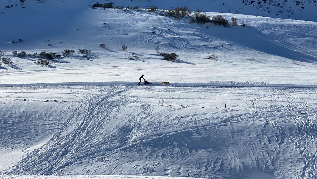 El puerto de Vegarada y Valdelugueros han vuelto a convertirse durante este fin de semana en la capital del Mushing.