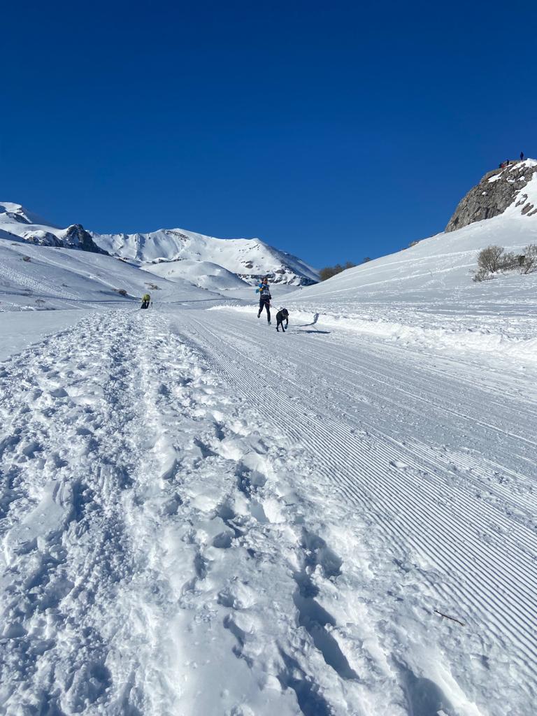 El puerto de Vegarada y Valdelugueros han vuelto a convertirse durante este fin de semana en la capital del Mushing.