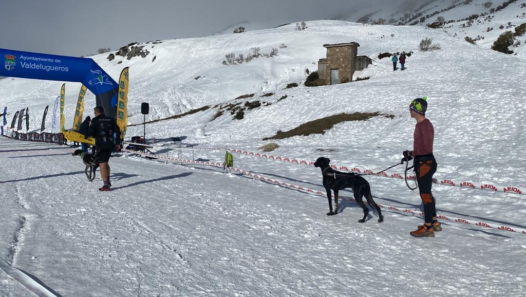 El puerto de Vegarada y Valdelugueros han vuelto a convertirse durante este fin de semana en la capital del Mushing.