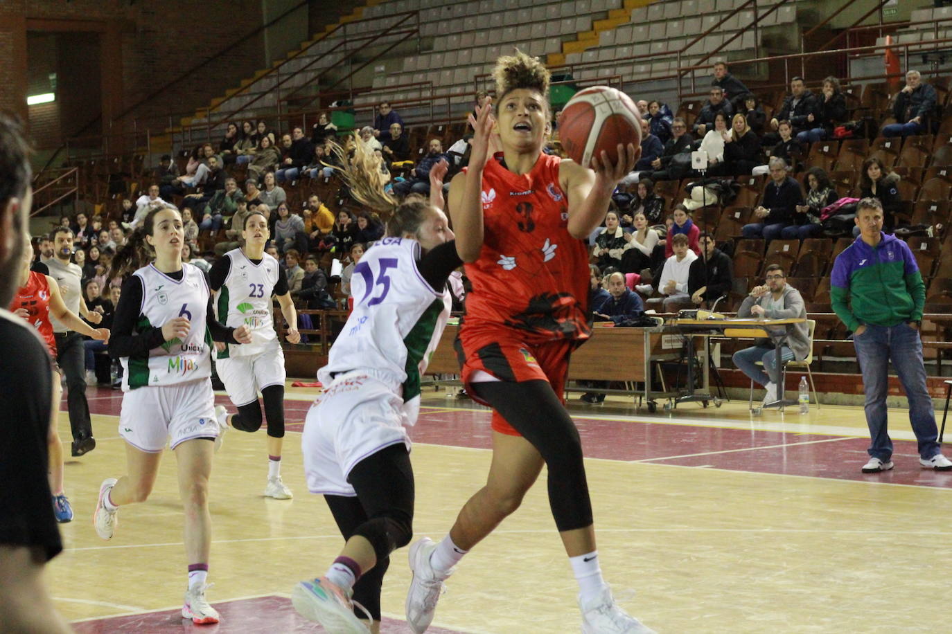 Fotos: Partido entre el BF León y el Mijas