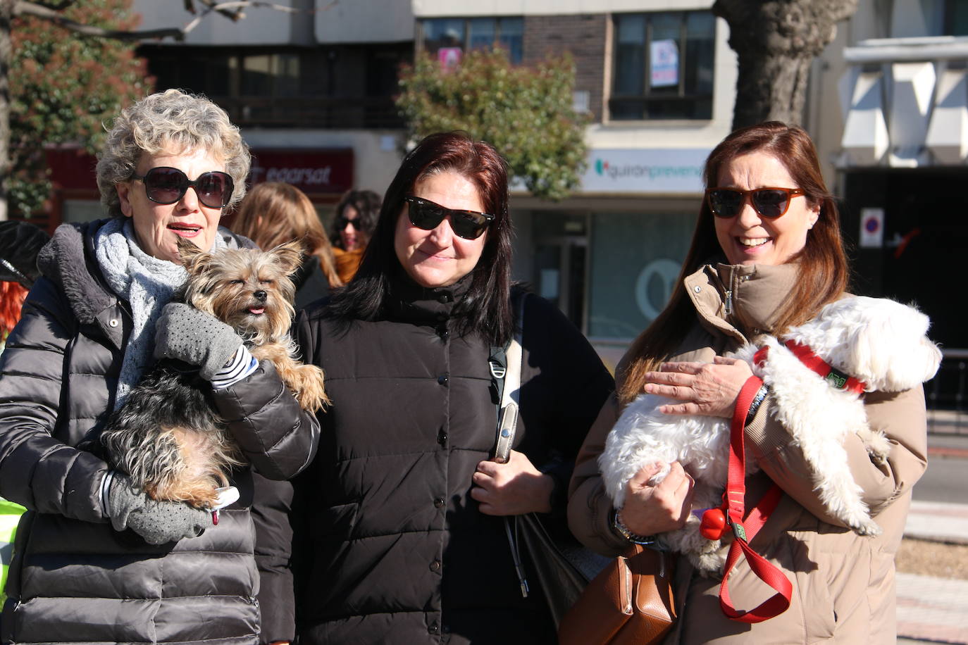 La Plataforma No a la Caza convoca en León una manifestación para exigir al Gobierno que modifique la Ley de Protección Animal e incluya en ella a perros como los galgos | EL 28 de febrero termina la temporada de caza con galgos y las asociaciones temen un «abandono masivo y asesinato» de estos animales.