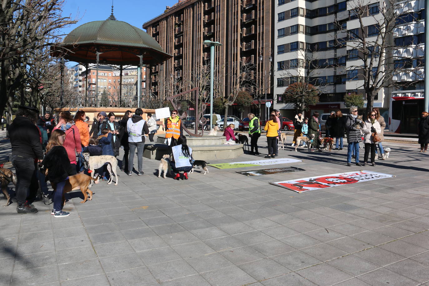 La Plataforma No a la Caza convoca en León una manifestación para exigir al Gobierno que modifique la Ley de Protección Animal e incluya en ella a perros como los galgos | EL 28 de febrero termina la temporada de caza con galgos y las asociaciones temen un «abandono masivo y asesinato» de estos animales.