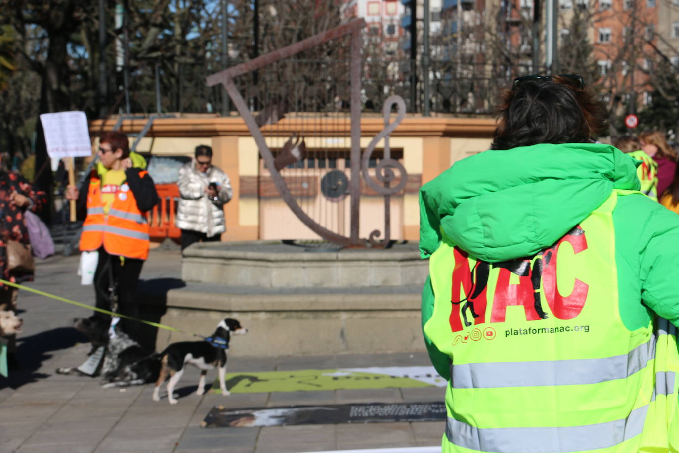 La Plataforma No a la Caza convoca en León una manifestación para exigir al Gobierno que modifique la Ley de Protección Animal e incluya en ella a perros como los galgos | EL 28 de febrero termina la temporada de caza con galgos y las asociaciones temen un «abandono masivo y asesinato» de estos animales.